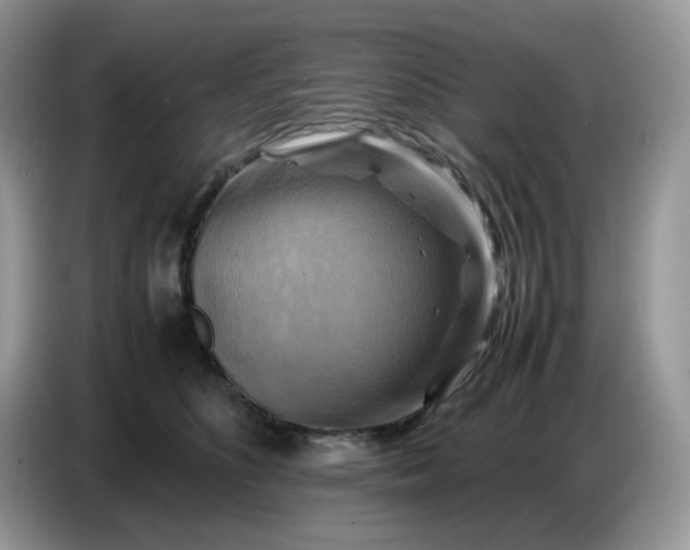 X0000086770516200704271753