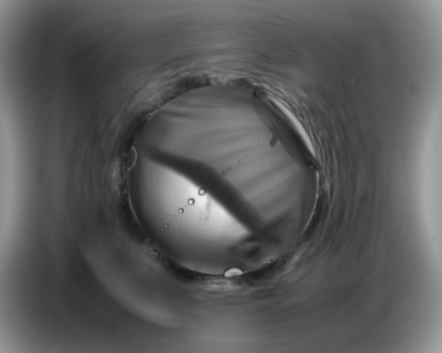 X0000086770519200704271752