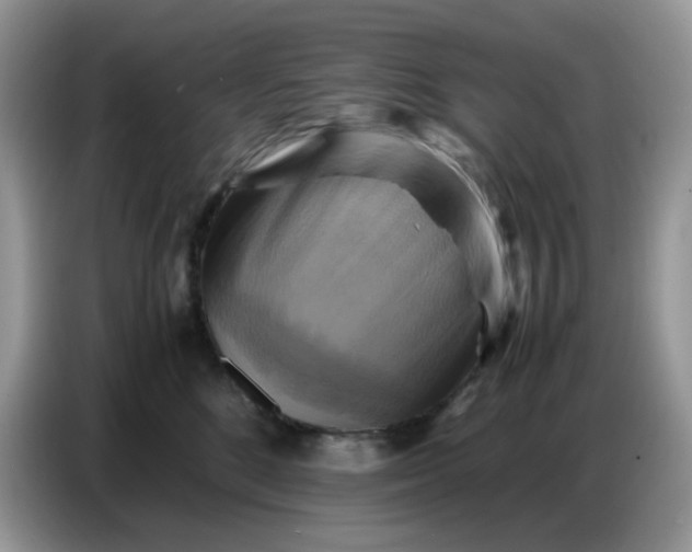 X0000086770520200704271752