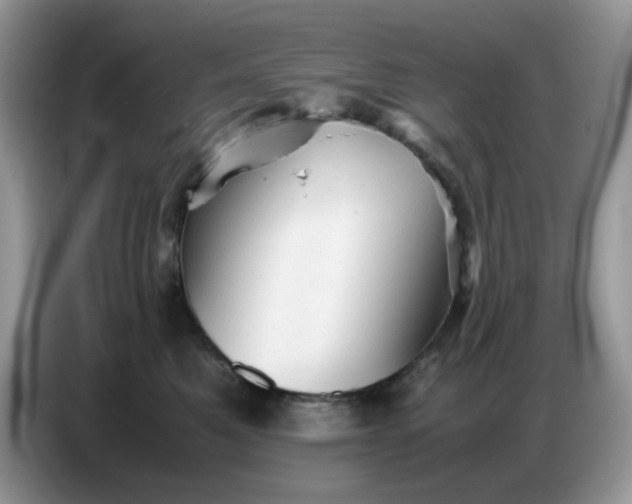X0000086770521200704271752