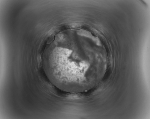 X0000086770523200704271752