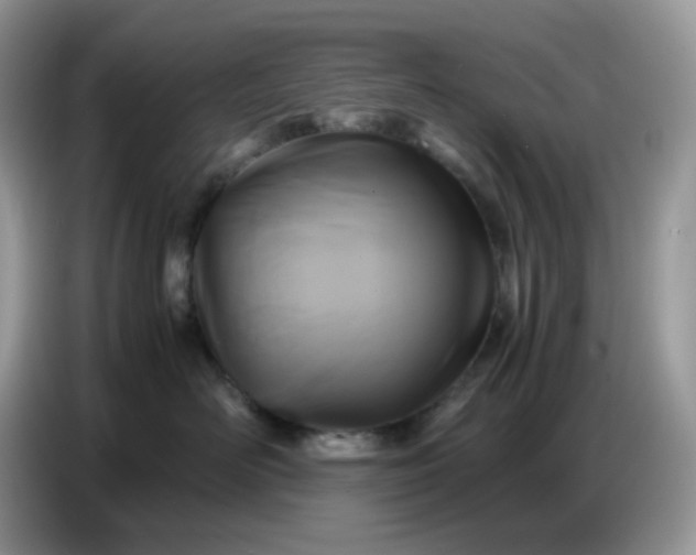 X0000086770526200704271752