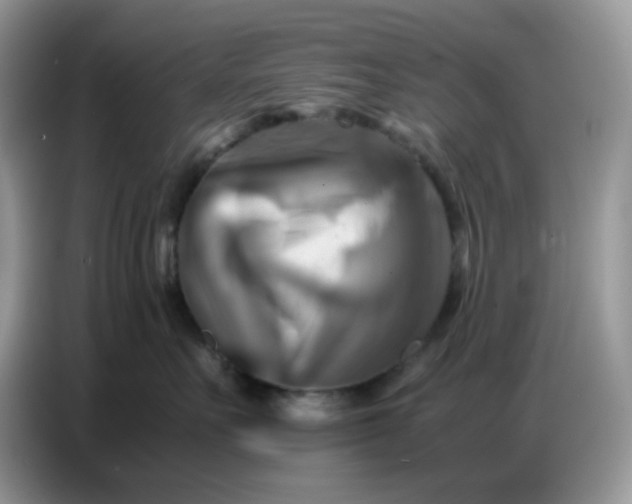 X0000086770527200704271752