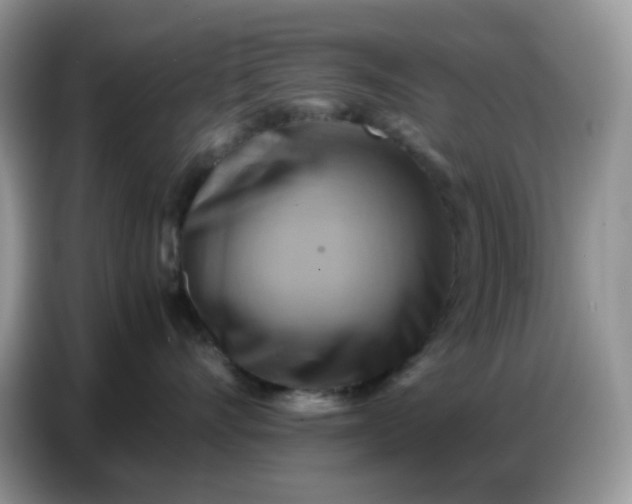 X0000086770528200704271752