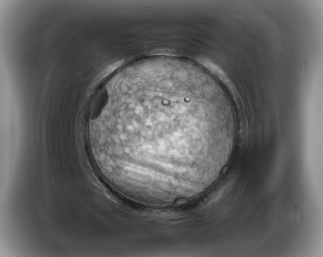 X0000086770529200704271752
