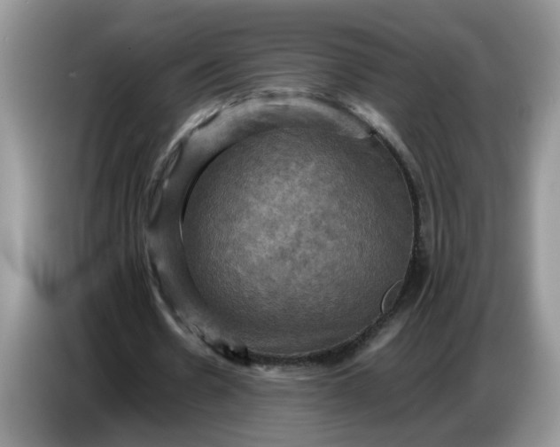 X0000086770530200704271752