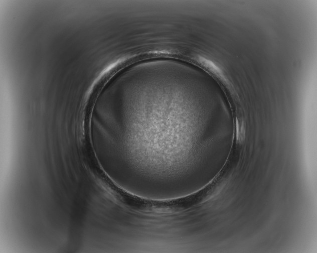 X0000086770531200704271752