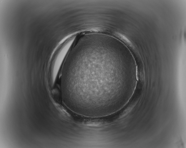 X0000086770532200704271752