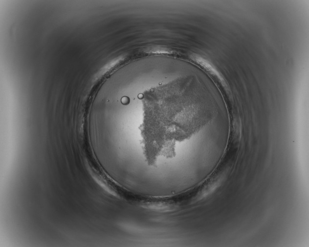 X0000086770533200704271752