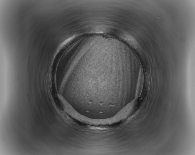 X0000086770536200704271752