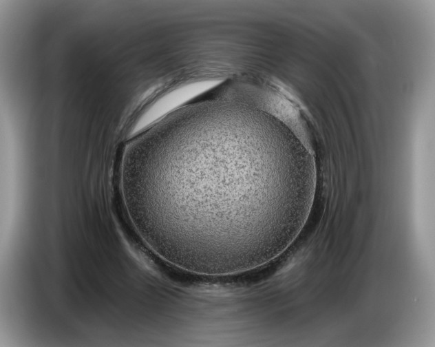 X0000086770538200704271752
