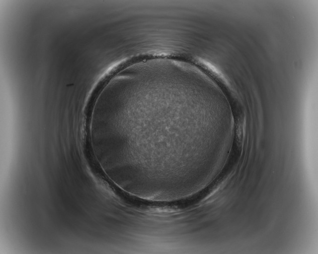 X0000086770540200704271752