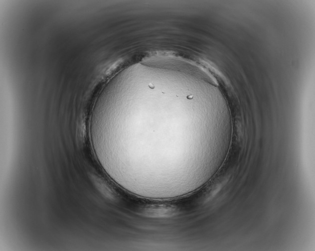 X0000086770541200704271752