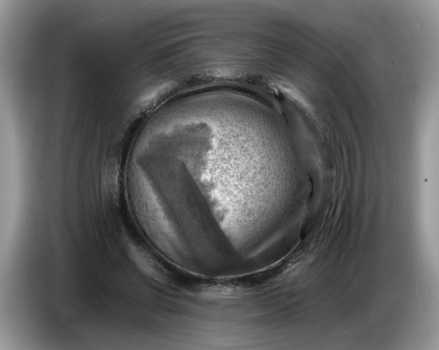 X0000086770542200704271752