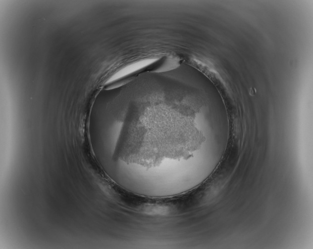 X0000086770545200704271752