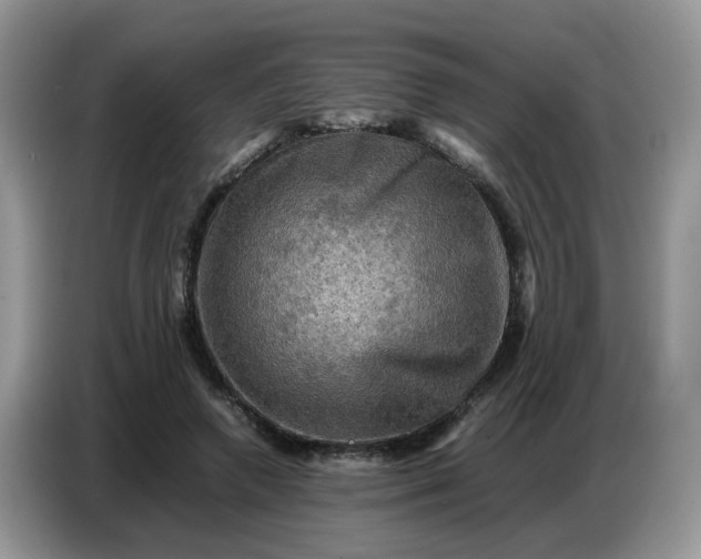 X0000086770546200704271752