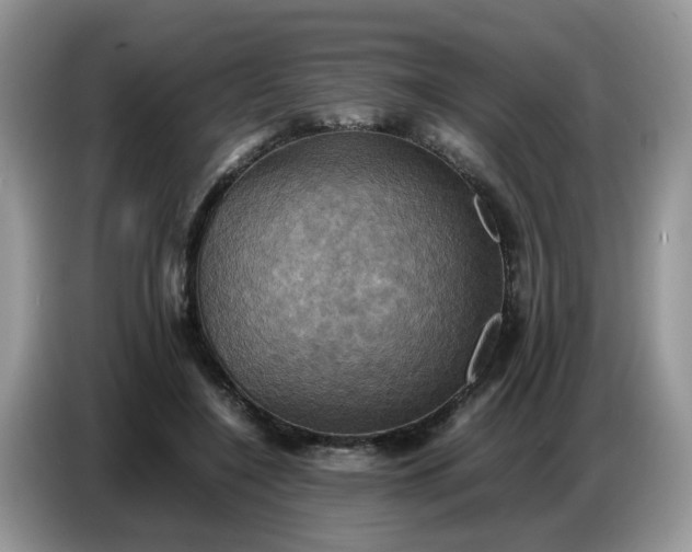 X0000086770548200704271752
