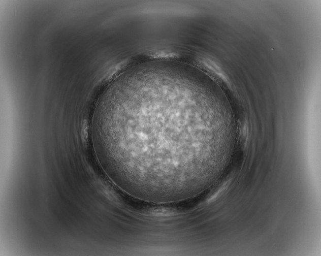 X0000086770549200704271752