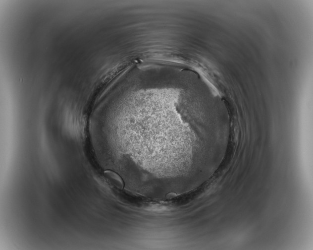 X0000086770550200704271752