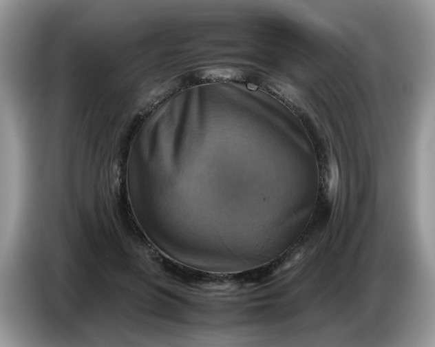 X0000086770551200704271752