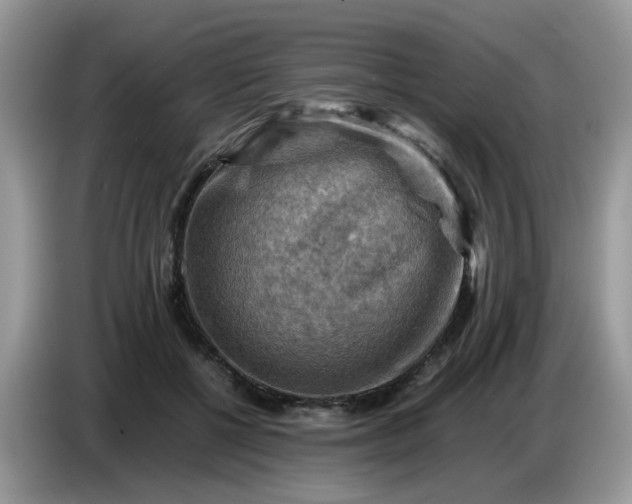 X0000086770552200704271752
