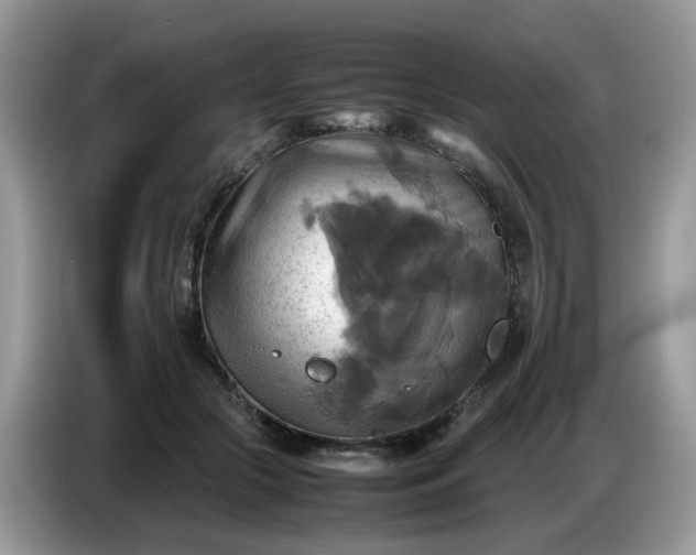 X0000086770553200704271752