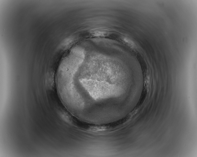 X0000086770554200704271752