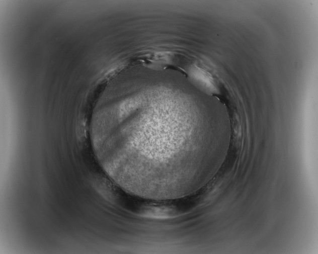 X0000086770555200704271752