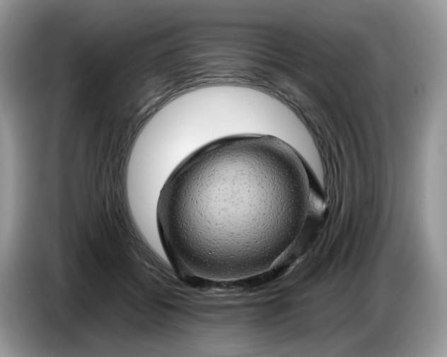 X0000086770556200704271752