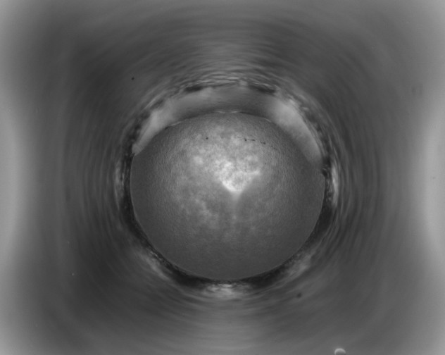 X0000086770558200704271752