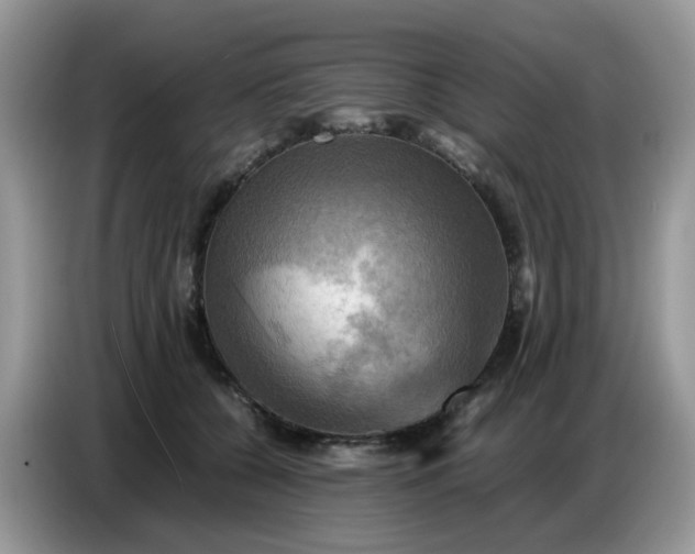 X0000086770560200704271752