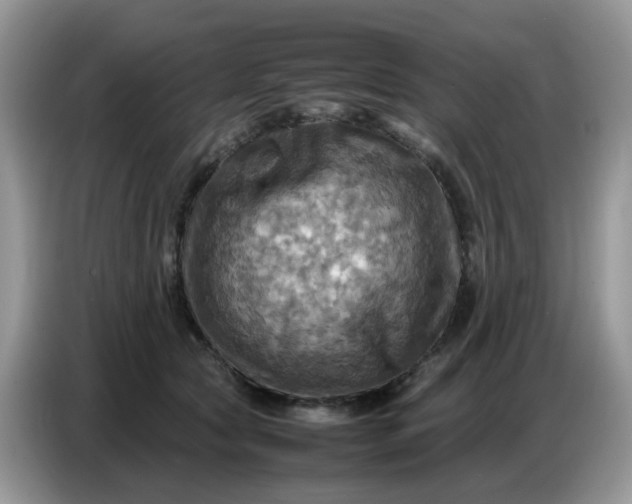 X0000086770561200704271752