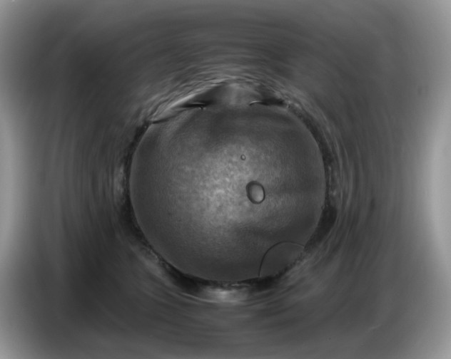 X0000086770563200704271752