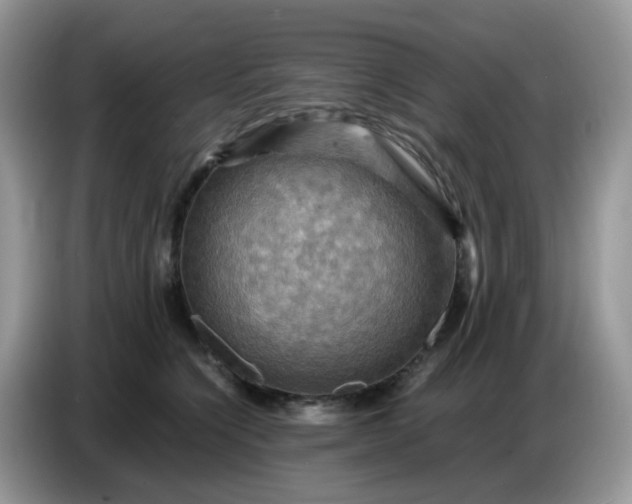 X0000086770564200704271752