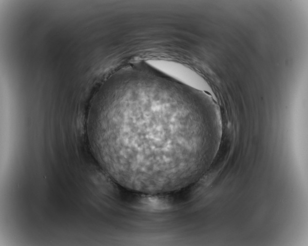 X0000086770565200704271752