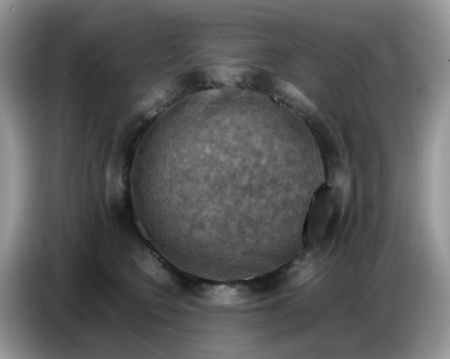 X0000086770566200704271752