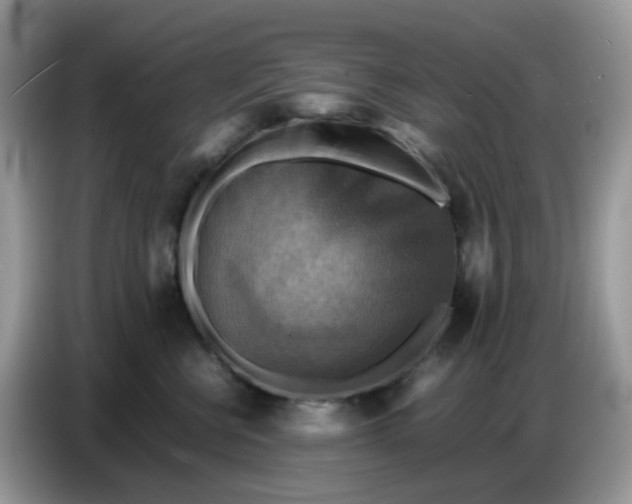X0000086770570200704271752