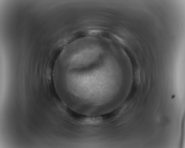 X0000086770571200704271752