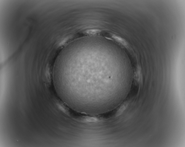 X0000086770572200704271752