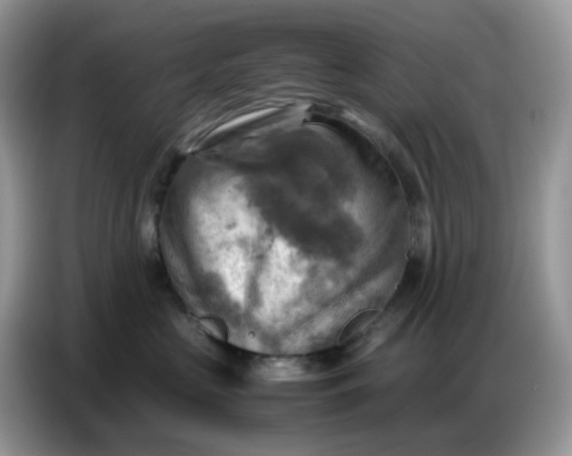 X0000086770573200704271752