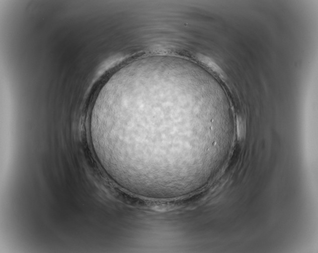 X0000086770579200704271752