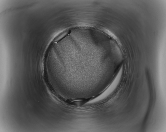 X0000086770580200704271752