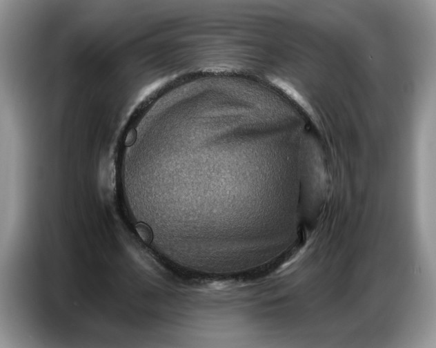 X0000086770584200704271752