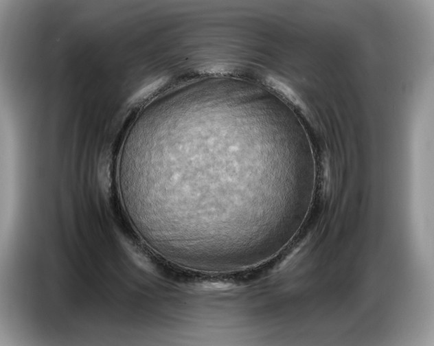 X0000086770586200704271752