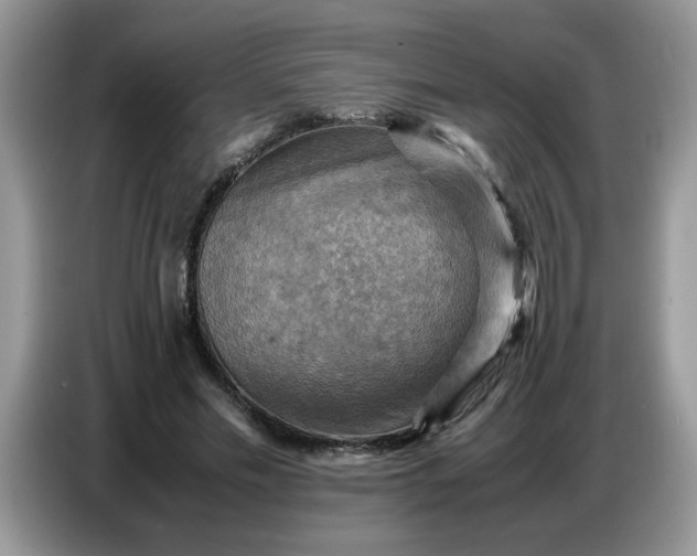 X0000086770589200704271752