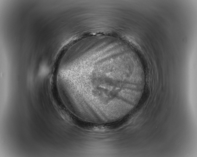 X0000086770591200704271752