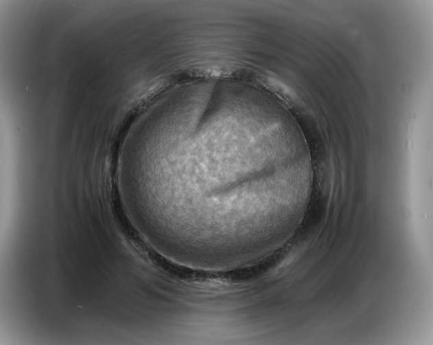X0000086770594200704271752