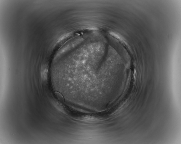 X0000086770596200704271751