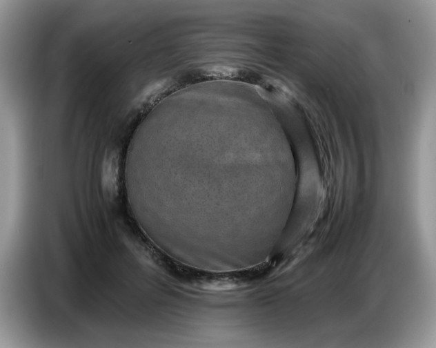 X0000086770600200704271751