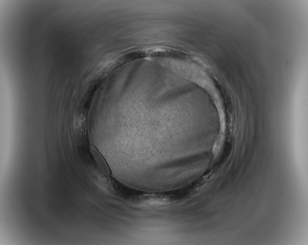 X0000086770601200704271751